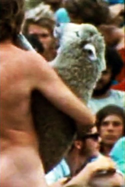 Die Stadtjugend findet Gefallen an der Viehzucht